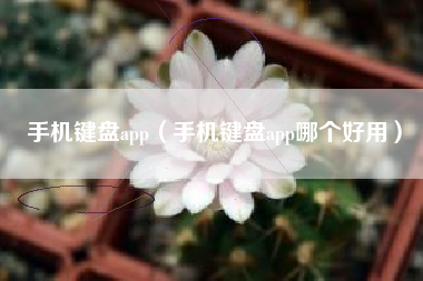 手机键盘app(手机键盘app哪个好用)