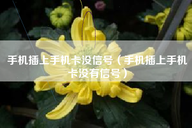 手机插上手机卡没信号(手机插上手机卡没有信号)