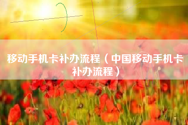 移动手机卡补办流程(中国移动手机卡补办流程)