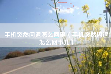 手机突然闪退怎么回事(手机突然闪退怎么回事儿)
