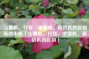 山寨机、行货、水货机、高仿机的区别高仿手机「山寨机、行货、水货机、高仿机的区别」